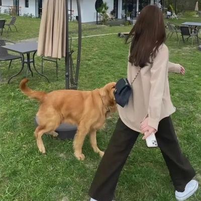 血溅火林